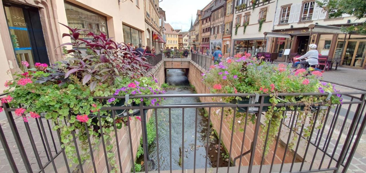Le Green St Leon : Lit Queen Size * Wifi * Ideal Couple Colmar Exterior photo